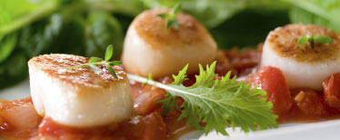 footer_cta_culinary footer_cta_culinary